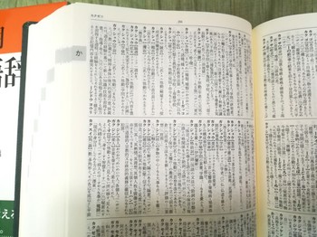 新潮現代国語辞典2.jpg